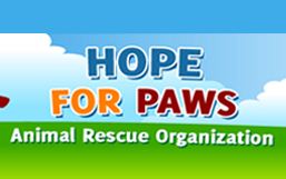 CA Hope For Paws - Annie Oakley