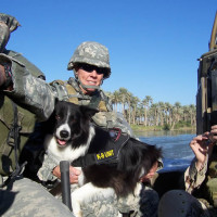 A dog after Annie Oakley’s own heart – Sage the American hero